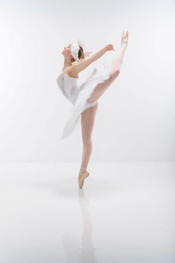 Swan tutu - Image 5