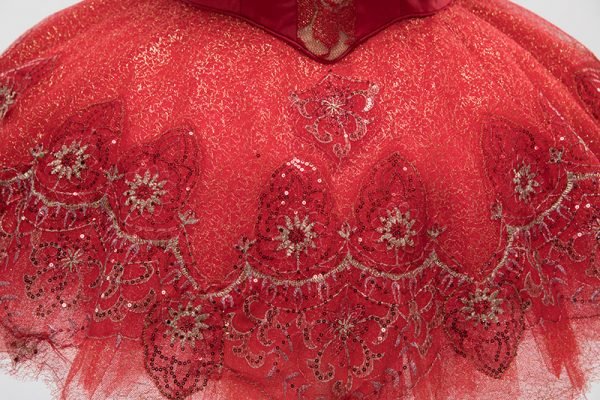 Red and gold tutu - Image 6