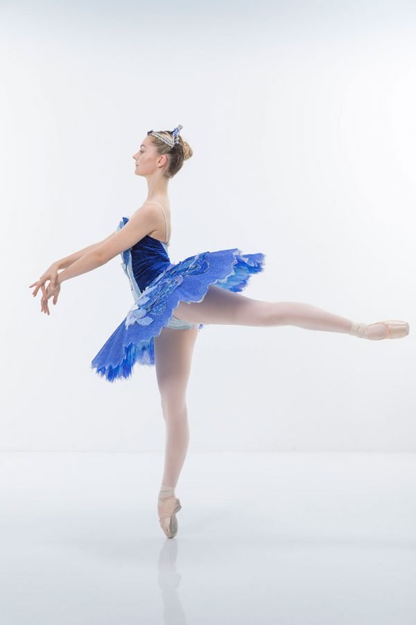 Bluebird tutu - Image 4